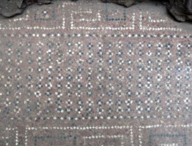 Fig. 6. Pavimento in cocciopesto: particolare